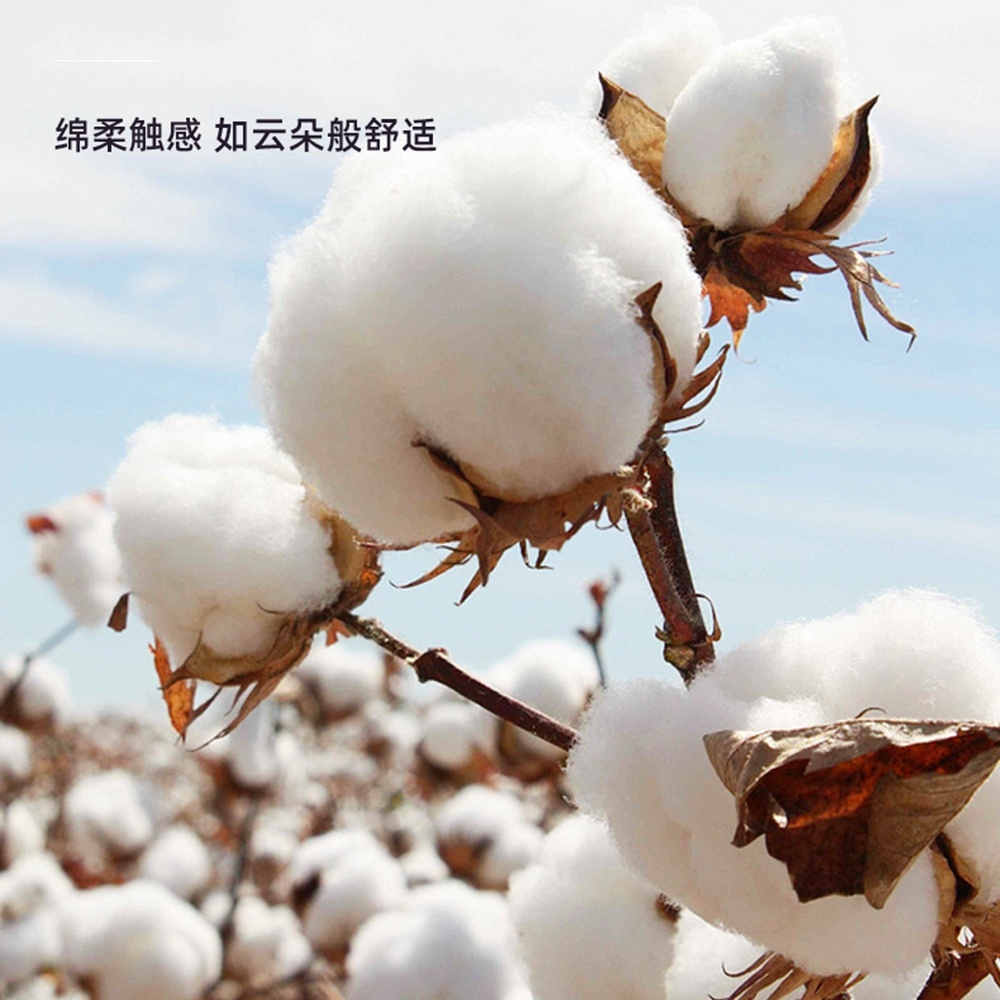 5.0/3.0/2.5mm Rubber Head Orga - Cotton Wick Organic ulasan dan harga