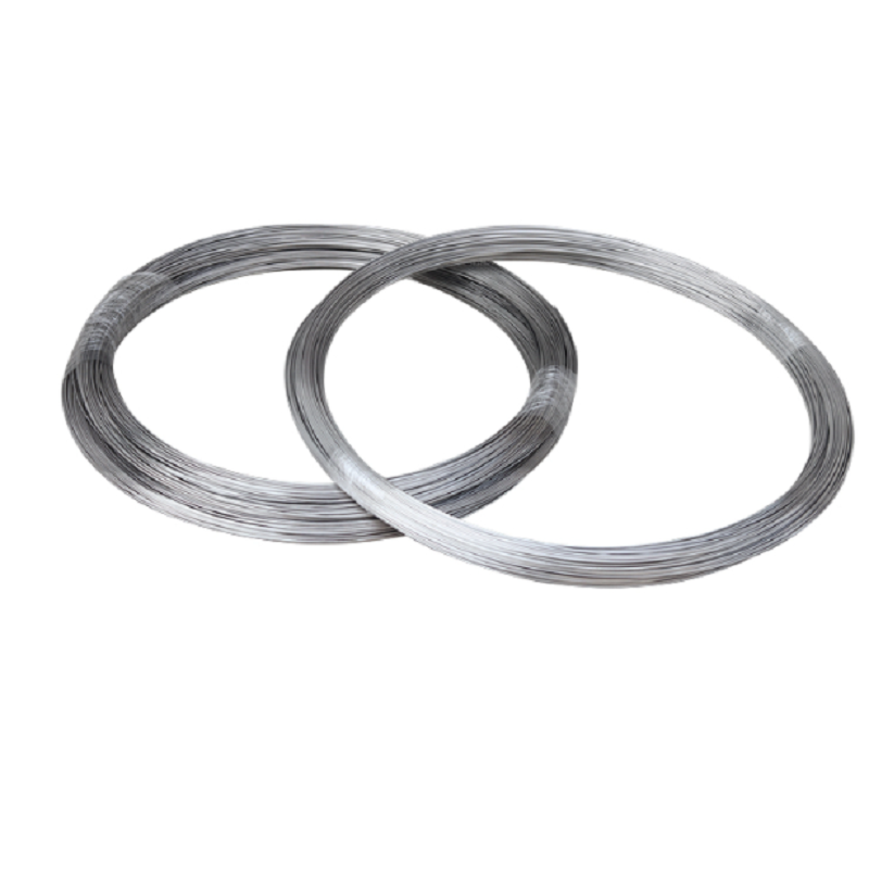 316 Stainless Steel Wire Boat  - Stainless Wire Ss316 ulasan dan harga
